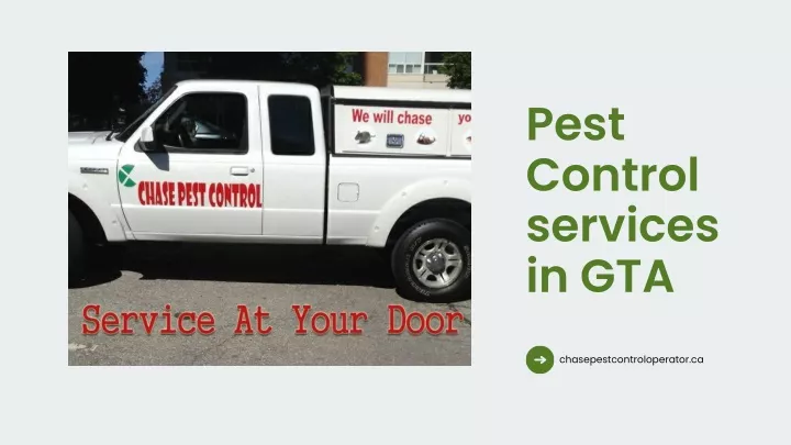 pest control services in gta