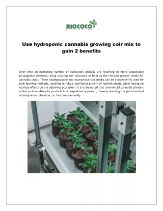 Use hydroponic cannabis growing coir mix to gain 2 benefits