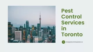 pest control services in toronto