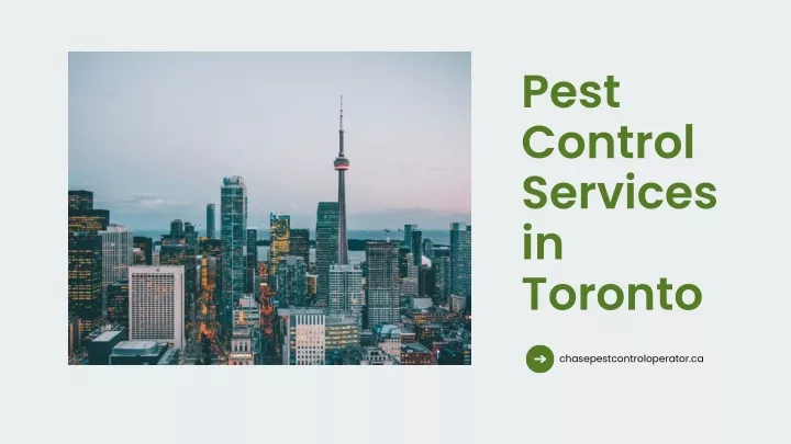 pest control services in toronto