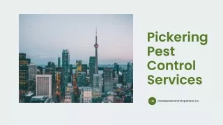 Pickering Pest control services