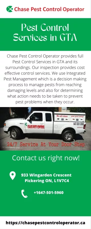 Pest Control Services in GTA