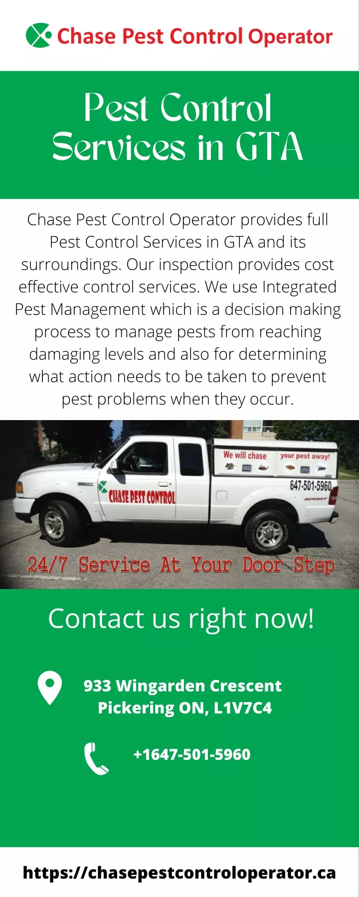 pest control services in gta