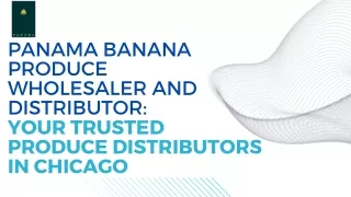 Panama Banana Produce Wholesaler and Distributor Your Trusted Produce Distributors in Chicago