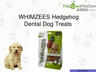 Whimzees Hedgehog Dental Chew for Dog | Dental Health Support