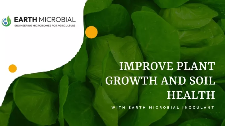 improve plant growth and soil health