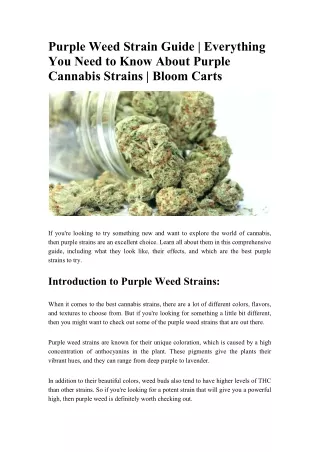 Purple Weed Strain Guide - Everything You Need to Know About Purple Cannabis Strains - Bloom Carts