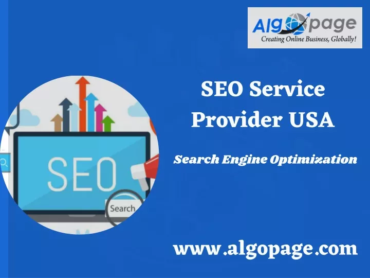 seo service provider usa