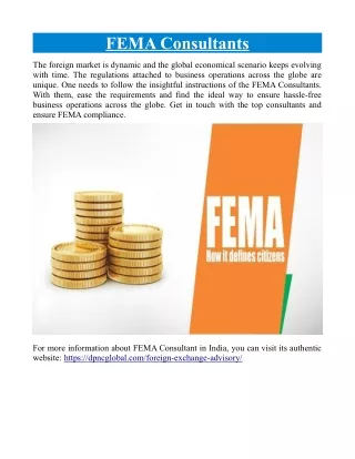 fema consultants