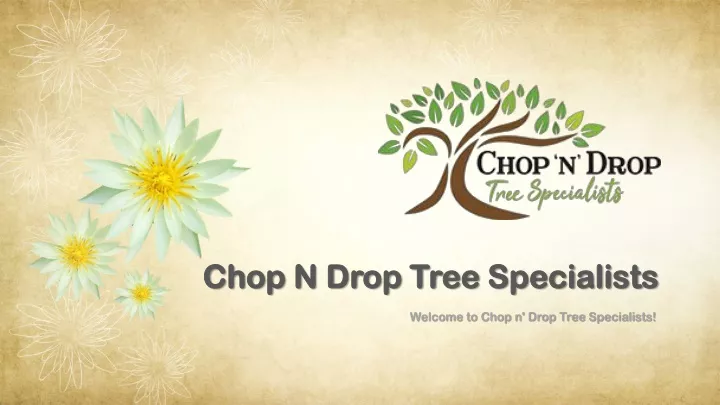 chop n drop tree specialists chop n drop tree