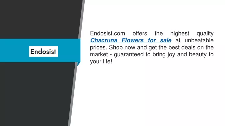 endosist com offers the highest quality chacruna