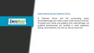 Mold Removal Service Downers Grove | Zeromoldchicago.com
