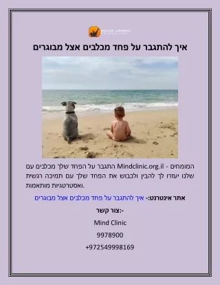 איך להתגבר על פחד מכלבים אצל מבוגרים