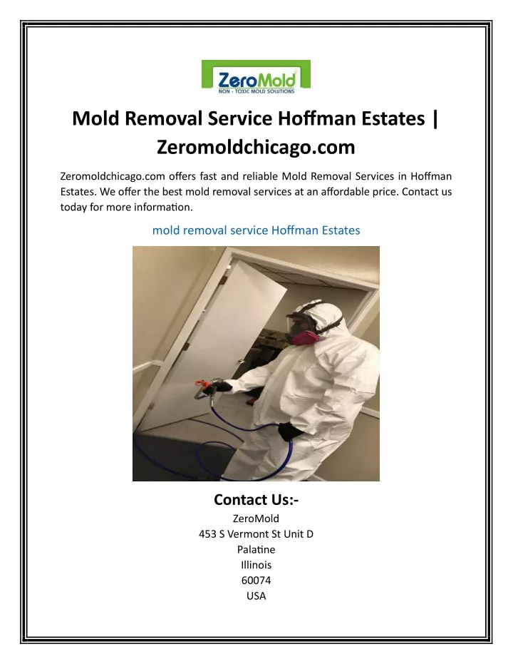 mold removal service hoffman estates