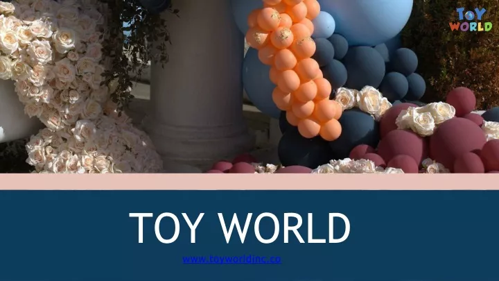 toy world