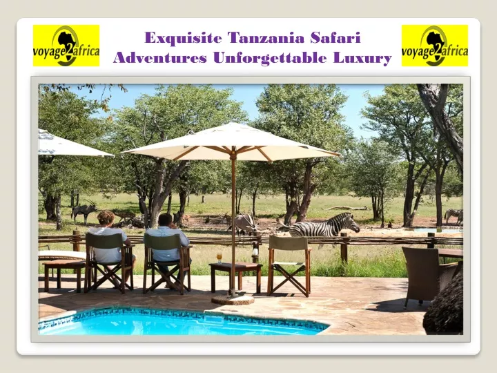 exquisite tanzania safari adventures