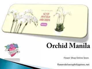 Orchid Manila