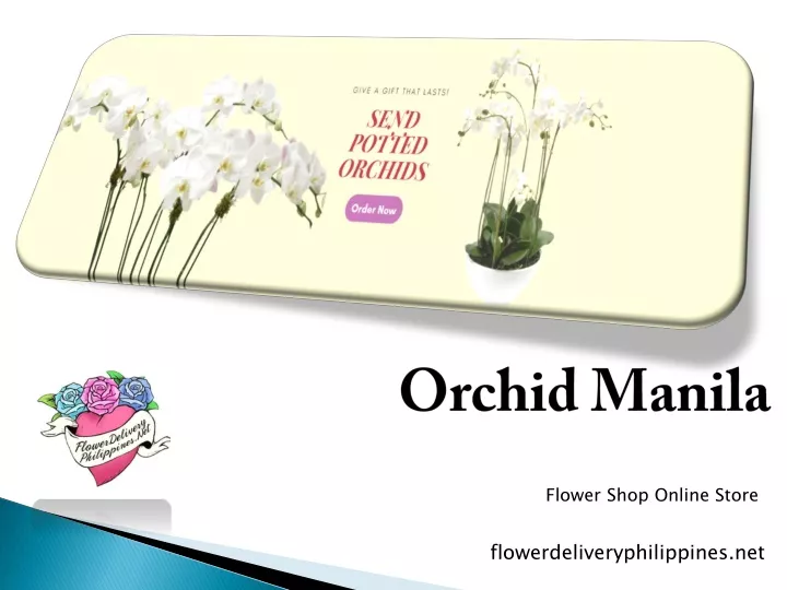 orchid manila