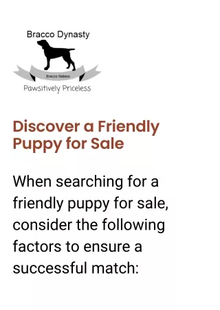 Family Puppies Bracco Breeder: Factors You Should Consider Before Buying