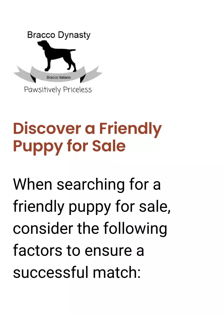 discover a friendly puppy for sale