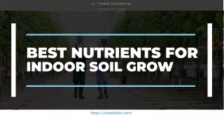 Looking For Best Nutrients For Indoor Soil Grow - Visit Impello Biosciences