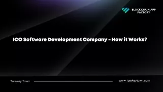 ICO Software Development Company - How it Works