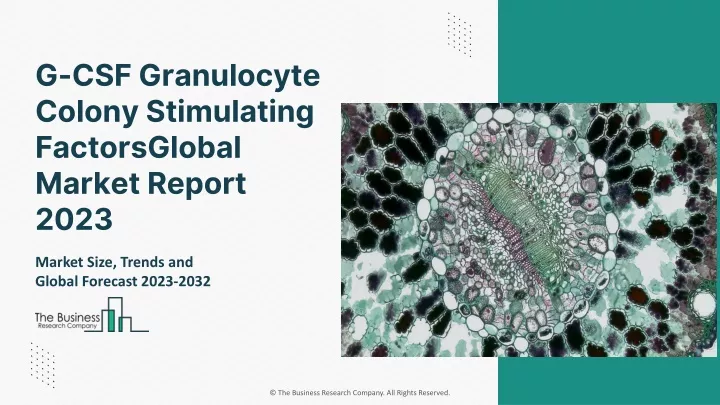 g csf granulocyte colony stimulating