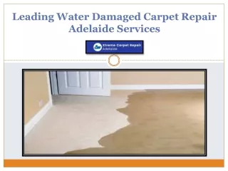 Get Trusted Services For Water Damaged Carpet Repair Adelaide