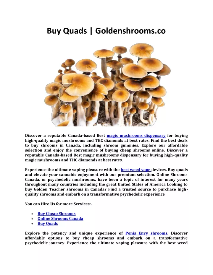 buy quads goldenshrooms co