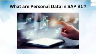 What are Personal Data in SAP B1 ?