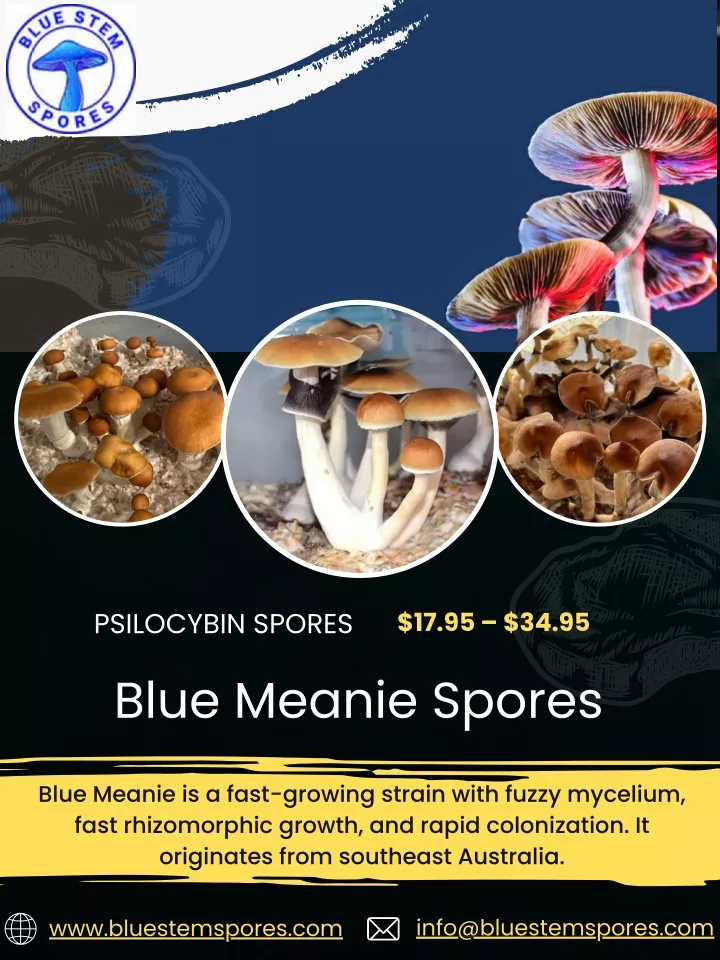 psilocybin spores