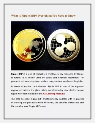 What is Ripple XRP? Everything You Need to Know
