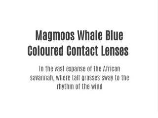 Magmoos Whale Blue Coloured Contact Lenses