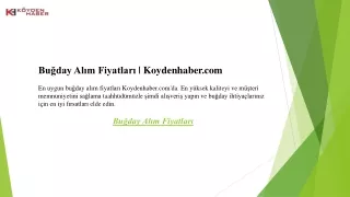 Buğday Alım Fiyatları  Koydenhaber.com