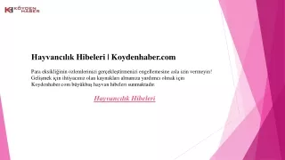 Hayvancılık Hibeleri  Koydenhaber.com