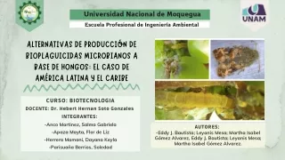 Alternativas de producción de bioplaguicidas microbianos a base de hongos el caso de América Latina y El Caribe