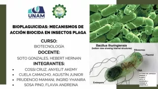 BIOPLAGUICIDAS MECANISMOS DE ACCION BIOCIDA EN INSECTOS PLAGA.