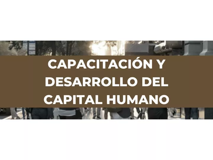 capacitaci n y desarrollo del capital humano