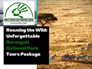 Roaming the Wild Unforgettable Serengeti National Park Tours Package