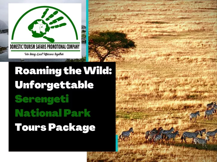 roaming the wild unforgettable serengeti national