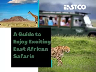 A Guide to Enjoy Exciting East African Safaris