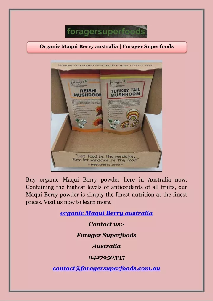 organic maqui berry australia forager superfoods