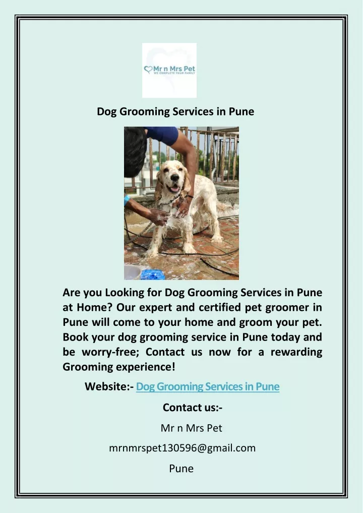 dog grooming services in pune