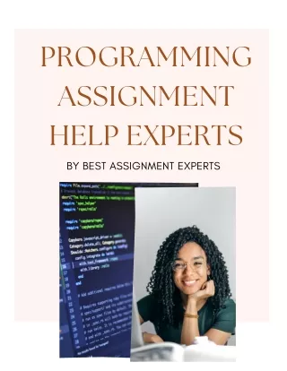 programming assignment help experts