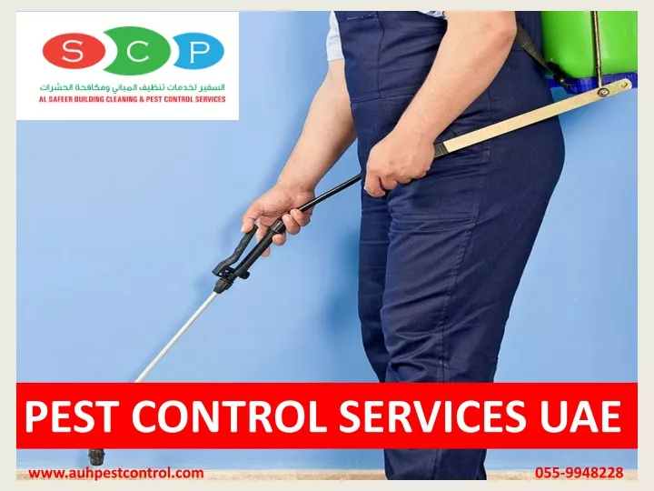 pest control services uae