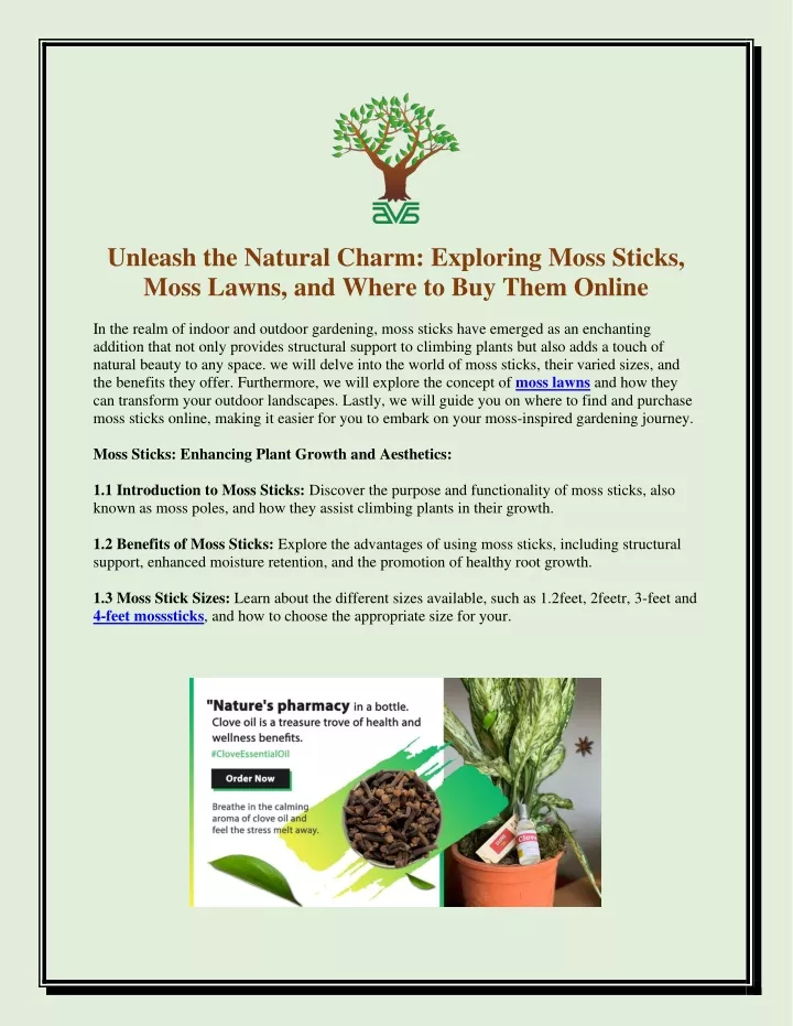 unleash the natural charm exploring moss sticks