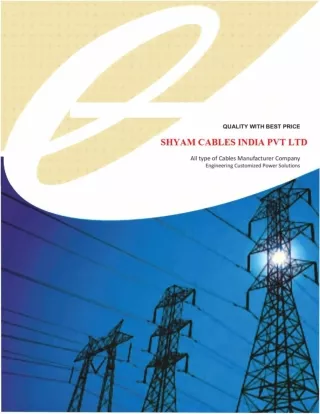 Shyam cables India products  catalogue