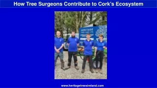 How Tree Surgeons Contribute to Cork's Ecosystem