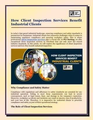 How Client Inspection Services Benefit Industrial Clients