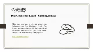 Dog Obedience Leash  Safedog.com.au